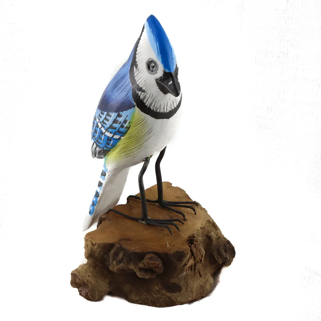 Blue Jay on Wood