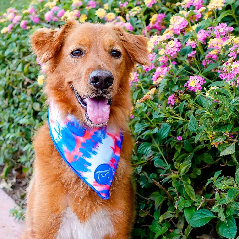 Frenchiestore Dog Cooling Bandana | Red, White & Blue