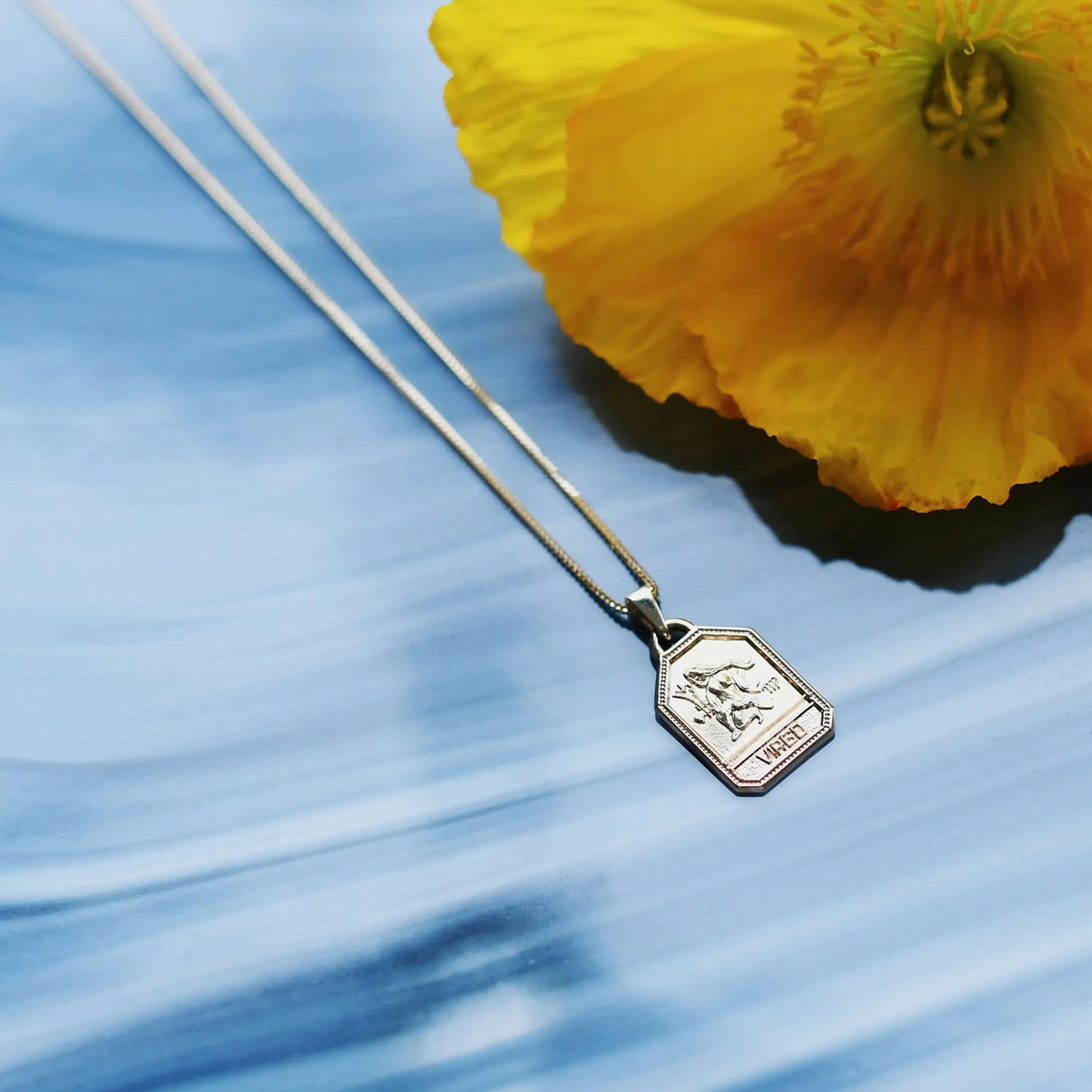 Zodiac Dog Tag Necklace